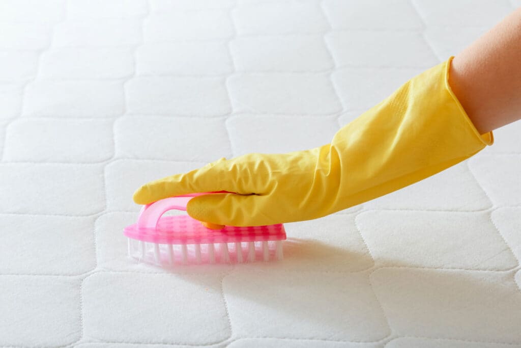sypialnia alergika wymaga ponadprzeciętnej czystości 